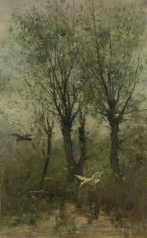 Ducks alighting on a Pool, 1885, Willem Maris