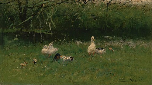 Ducks in the Grass near a Ditch, 1890, Willem Maris