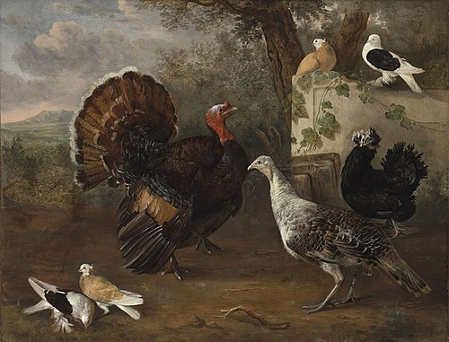 Fowls, 1690, Cornelia de Rijck