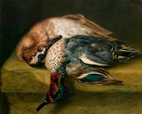 Teal, 1835, William Mulready Junior