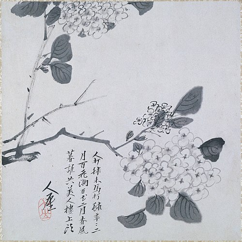 Branch of Hydrangea, 1681, Zhu Da