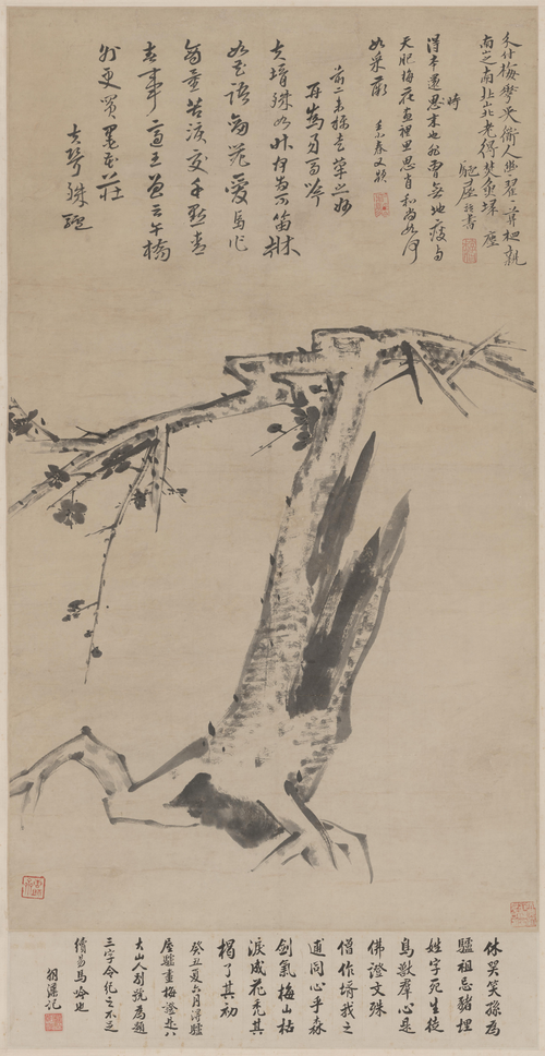 朱耷梅花轴, , Zhu Da