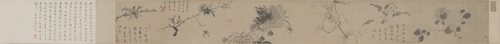朱耷花卉图卷, , Zhu Da