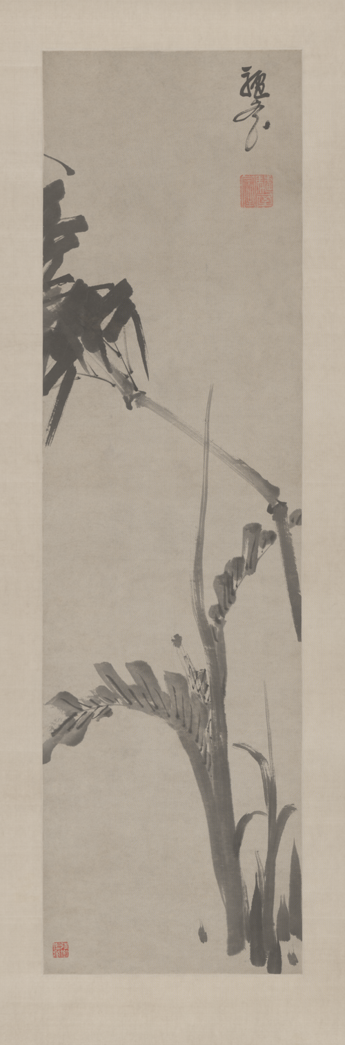 朱耷竹蕉图轴, , Zhu Da