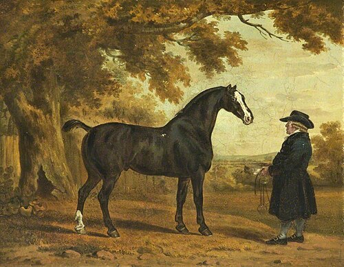 A Stallion with Its Groom, 1794, Thomas Gooch