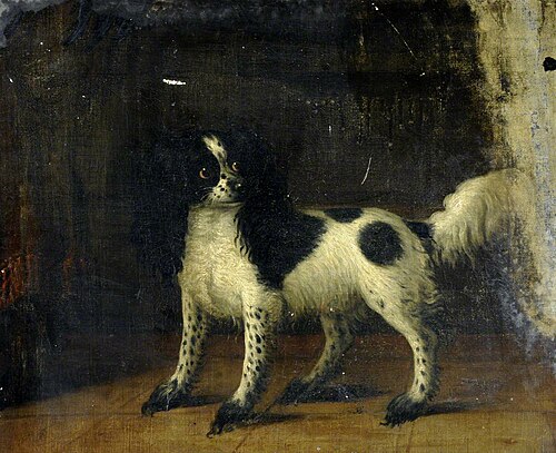 A Black and White King Charles Spaniel, 1784, Thomas Gooch