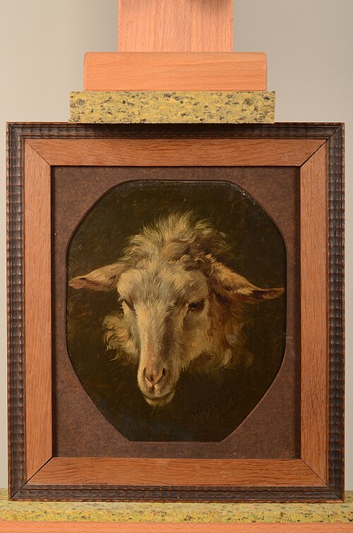 Schaapskop, , Pieter Plas