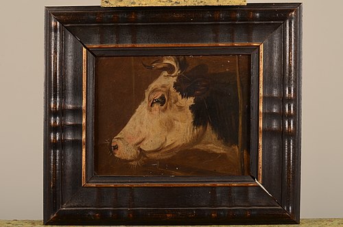 Koeienkop, , Pieter Plas