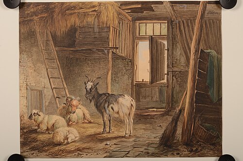 Stal met schapen en een geit, , Pieter Plas