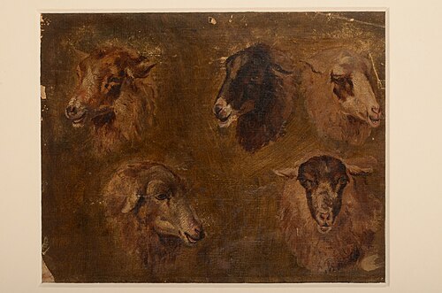 Studie van vijf schapenkoppen, 1850, Pieter Plas