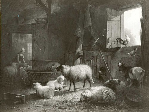 Sheep and goats in stable, 1851, Pieter Plas