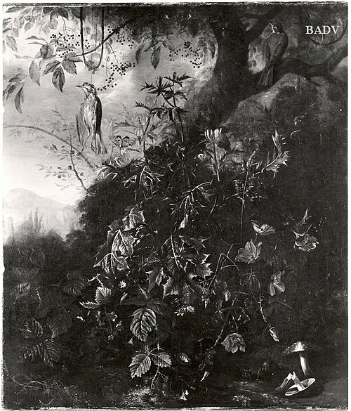 Blumenstück mit Vögeln, Brombeeren und Disteln, 1646, Matthias Withoos