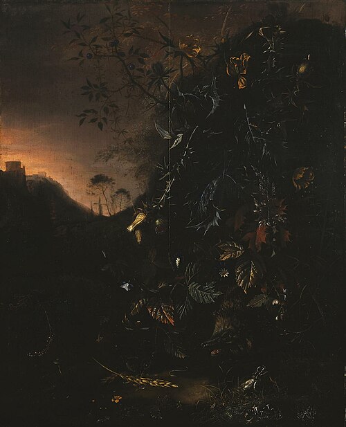 Flowers, a Hedgehog and a Frog, 1660, Matthias Withoos
