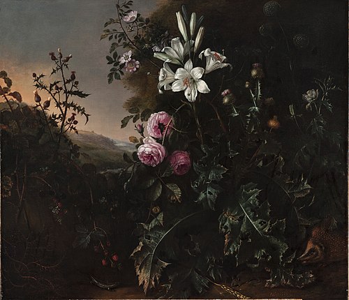 Nature morte, , Matthias Withoos