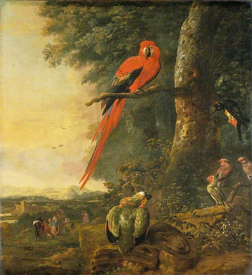 Red Macaw with Other Birds, 1690, Hendrik Wilhelmus Van Royen