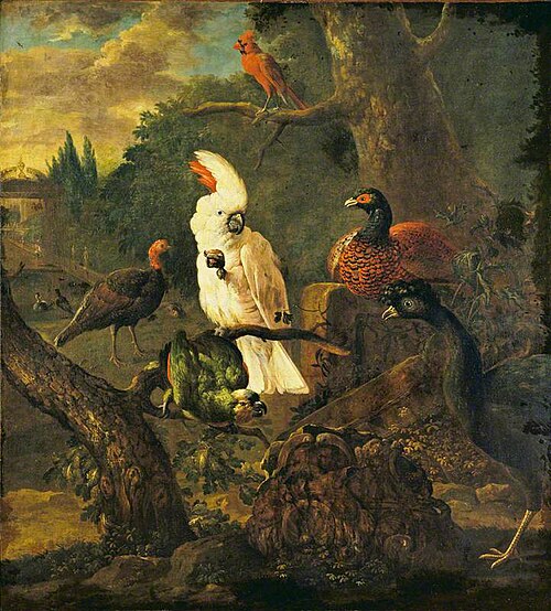 White Cockatoo and Other Birds, 1690, Hendrik Wilhelmus Van Royen