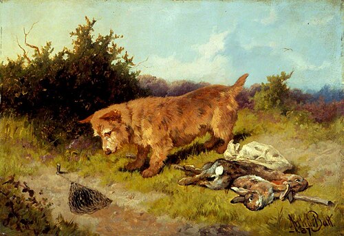 Terrier Watching Rabbit Trap, 1887, Arthur J. Batt