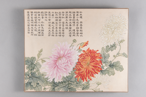 弘旿洋菊图册, , Hongwu