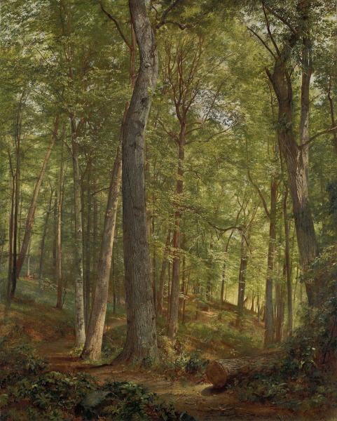 June Woods (Germantown), 1864, William Trost Richards