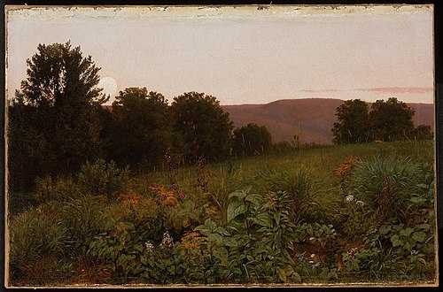 Sunset on the Meadow, 1861, William Trost Richards