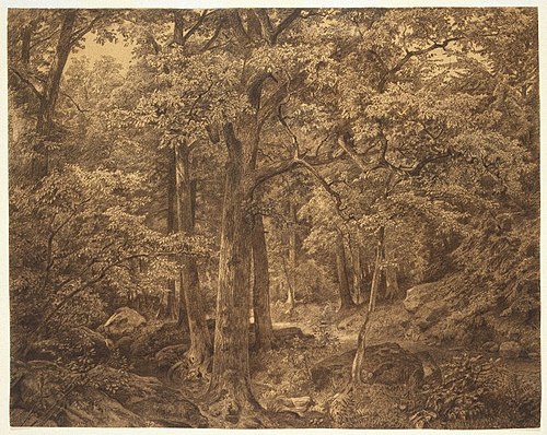 Forest Interior, 1865, William Trost Richards