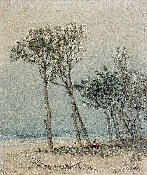 Trees on the Jersey Shore, 1871, William Trost Richards