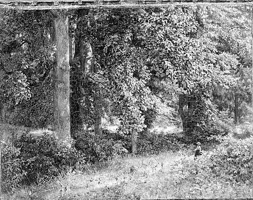 Tulip Trees, 1859, William Trost Richards