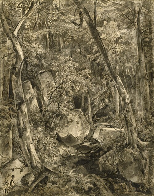 Woodland Interior, 1865, William Trost Richards
