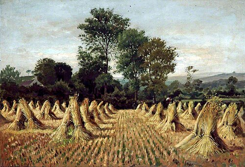 Cornfield at Bidston, Wirral, , Peter Ghent