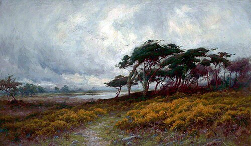 Golden Gorse and Windblown Trees, , Peter Ghent