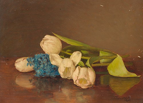 Liggende tulpen, 1894, Jacob Taanman