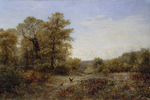 The Pheasant's Home, 1880, Charles Thomas Burt