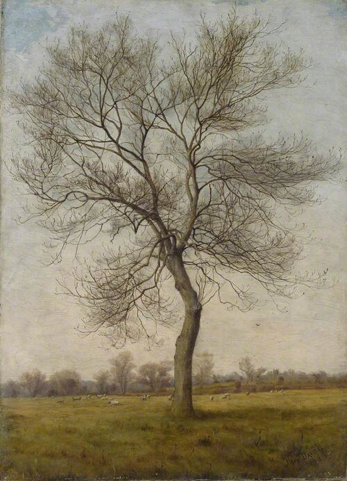 Study of an Ash Tree in Winter, 1883, James Hey Davies
