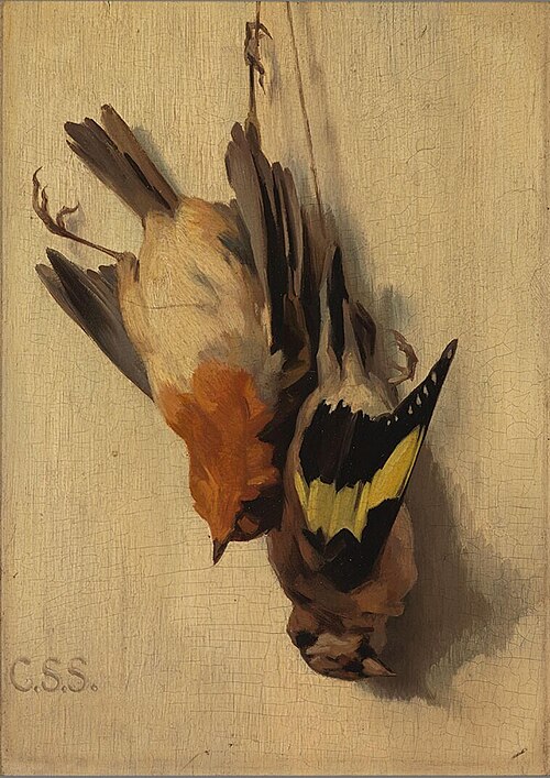 A Goldfinch and a Robin, 1900, Cornelis Samuel Stortenbeker