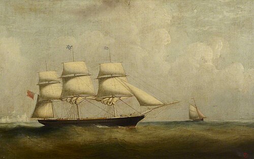 The tea clipper Medina, , Philip John Ouless