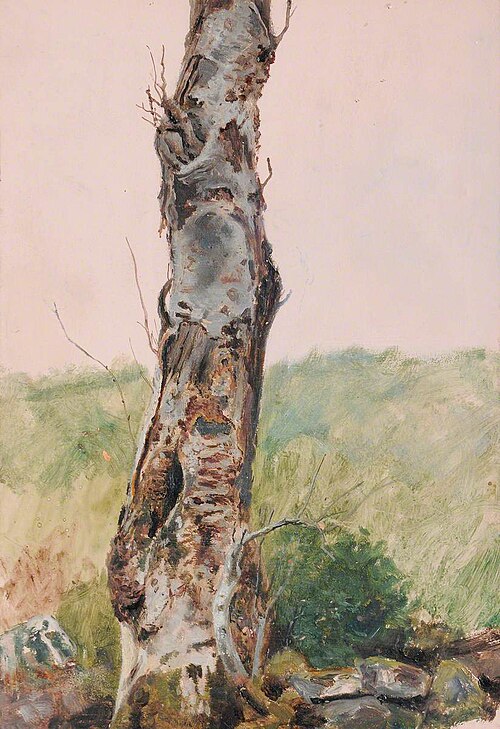 Dead Birch, 1880, Frederick William Hayes