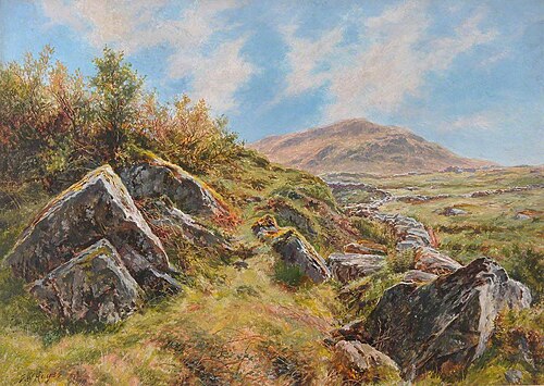 Near Snowdon, 1880, Frederick William Hayes