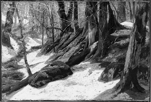 Wood Interior, , Marcus Waterman
