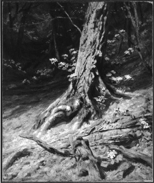 Interior of a Wood: The Past and the Present, , Marcus Waterman