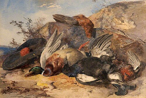 Gaming Birds, , James, Jr. Hardy