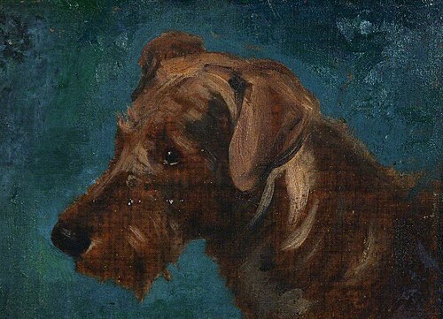 Head of a Dog, , Charles Hodge Mackie