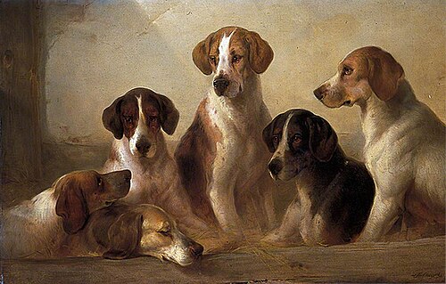 Hounds, , Edward Robert Smythe