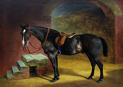 A Dark Bay Saddled Hunter by Mounting Steps, 1851, Thomas Grimshaw