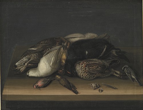 Wildfowl on a Wooden Table, 1664, Jacob Biltius