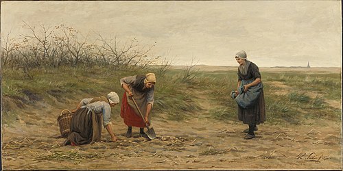 Scheveningse vrouwen bij het nalezen van een gerooid aardappelveld, 1874, Philip Sadée