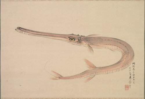 Needlefish (Yagara), 1870, Nakajima Raishō