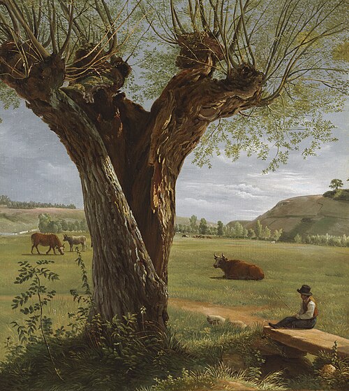 Pollard Willow, 1804, Pierre Jean Boquet