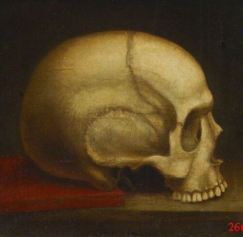Skull, Right Profile, , William Cheselden
