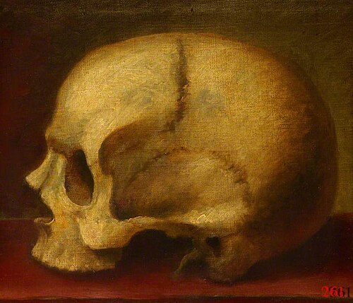 Skull, Left Profile, , William Cheselden