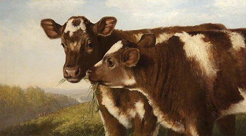 Two Shorthorn Calves, 1874, Henry Hetherington Emmerson